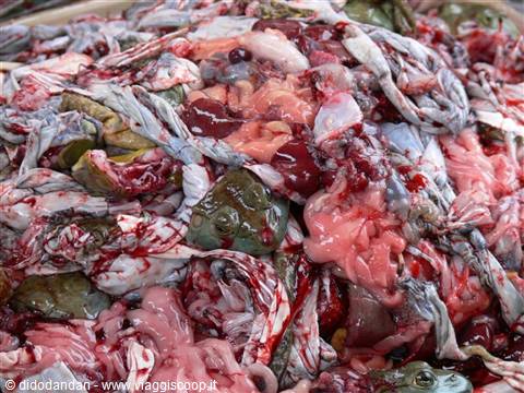 Freshly slaughtered frogs piled on a market stall