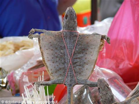 Dried lizard tied with pink rubber band, for sale at market