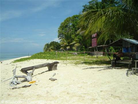 White sand beach with driftwood log, palm trees and wooden kiosk