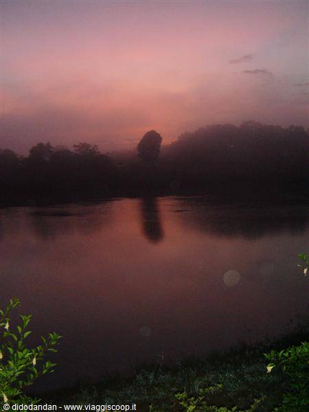 River wrapped in pink morning mist, dark trees reflected on the water