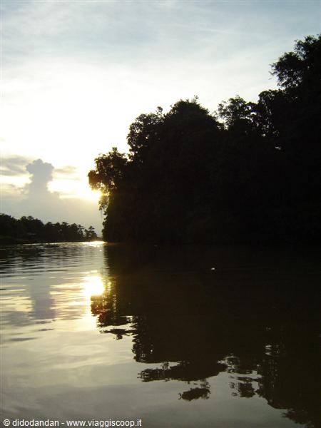 Dark river between backlit trees, low sun reflecting on the water