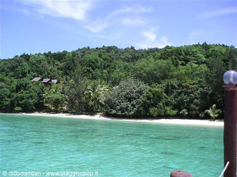 Turquoise sea and white beach in front of tropical forest with wooden bungalows