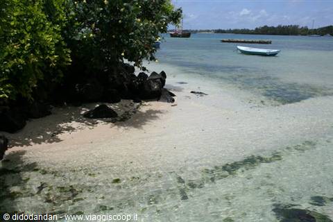 white boat on clear turquoise water, pale sand and dark rocks under green trees