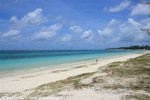 White sand beach, turquoise water, seaweed on shore under white clouds