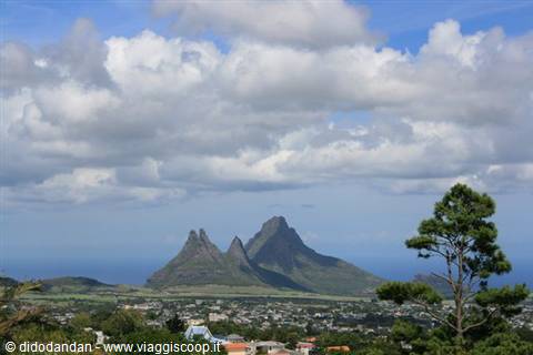 The Trois Mamelles peaks over the green town, white clouds and a pine tree