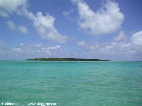 Green islet surrounded by turquoise lagoon under a cloudy sky