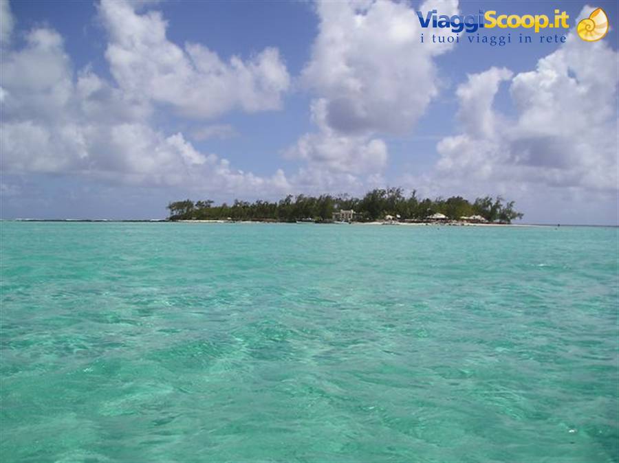 Small palm-covered islet with thatched huts surrounded by turquoise lagoon at Île aux Cerfs