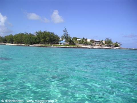 Clear turquoise water in front of a beach lined with trees and houses