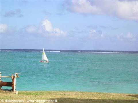 Sailboat on turquoise sea by the reef, grass in foreground
