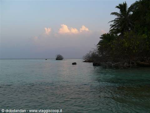 Turquoise water and palm trees on a tropical islet, sunset-lit clouds
