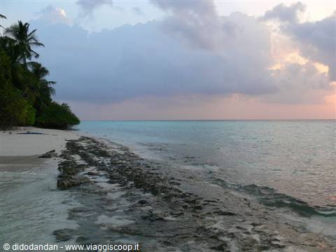 White sand beach with palms and coral rocks in turquoise water