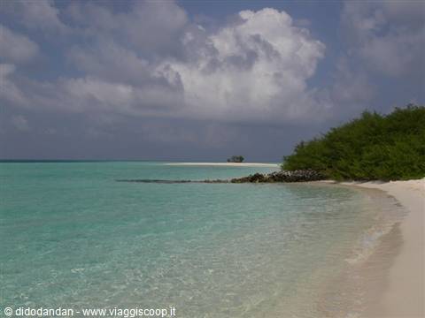 White sand beach with turquoise water and green shrubs under white clouds