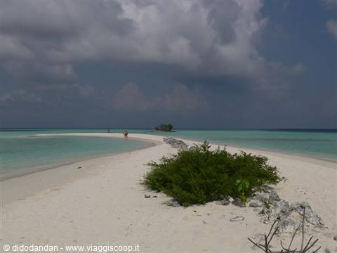 White sandbank with green shrub between turquoise waters and cloudy sky