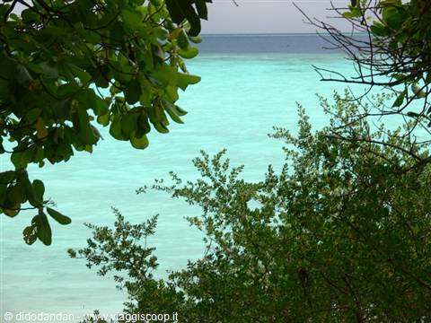 Turquoise water framed by green branches, dark horizon beyond