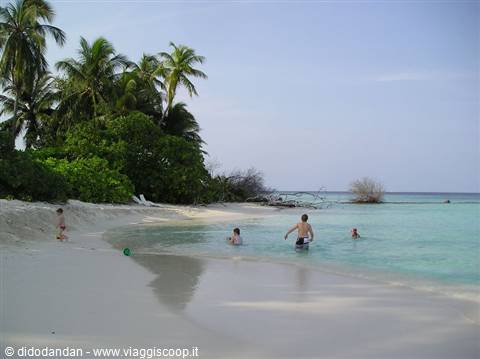 Swimmers in turquoise water on white sand beach with palm trees