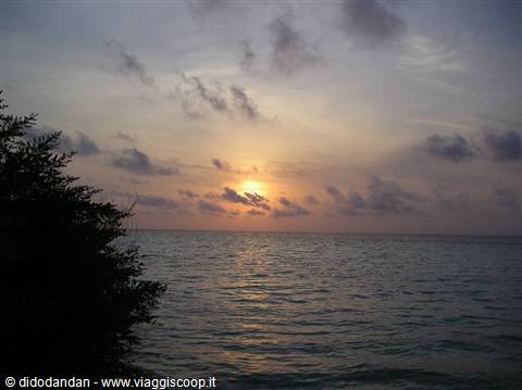 The sun sinks over the sea horizon, bush silhouette on the left