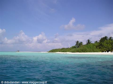 Turquoise lagoon in front of white sand beach with palms and green bushes