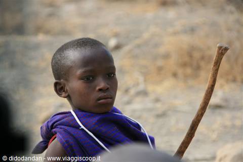 Maasai child in purple shuka holding wooden stick, natural light