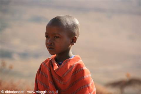 Maasai child in red striped shuka gazing across dry hills
