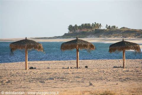 Three straw palapas on the sand in front of turquoise sea, palms on the headland