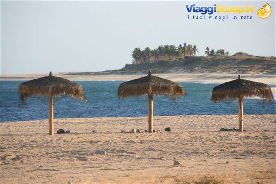 Three straw palapas on the sand in front of turquoise sea, palms on the headland