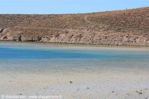 Shallow turquoise water and desert hill at Cabo Pulmo, Baja California