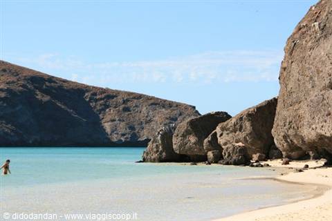 Balandra, La Paz: swimmer in turquoise shallows between arid cliffs and white sand