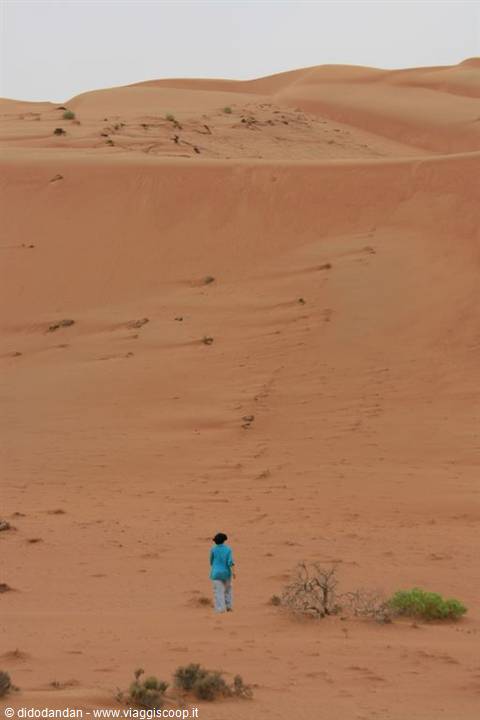 Woman walking among red sand dunes of the Wahiba Sands desert
