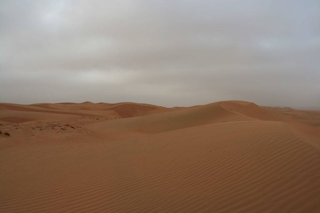 Orange sand dunes under grey cloudy sky, wind on the ridge