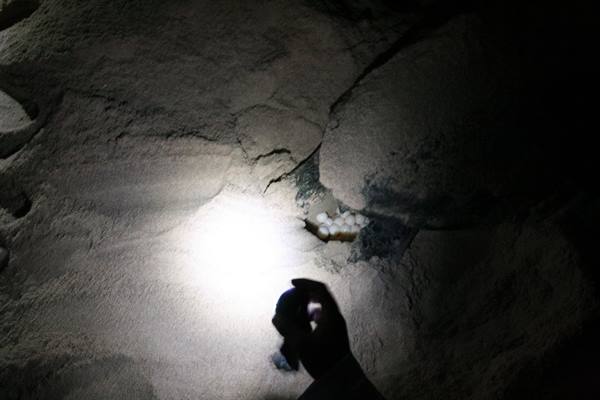Flashlight beam lighting the rocky wall of a dark cave