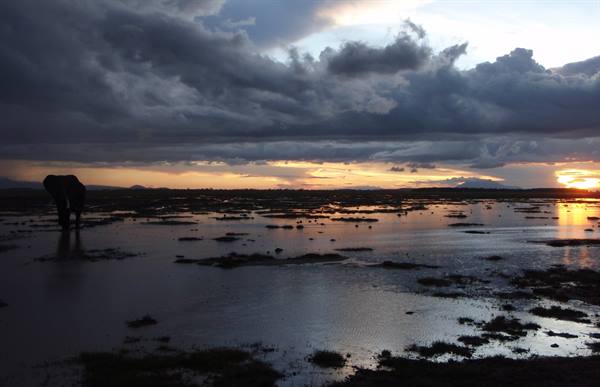 Amboseli