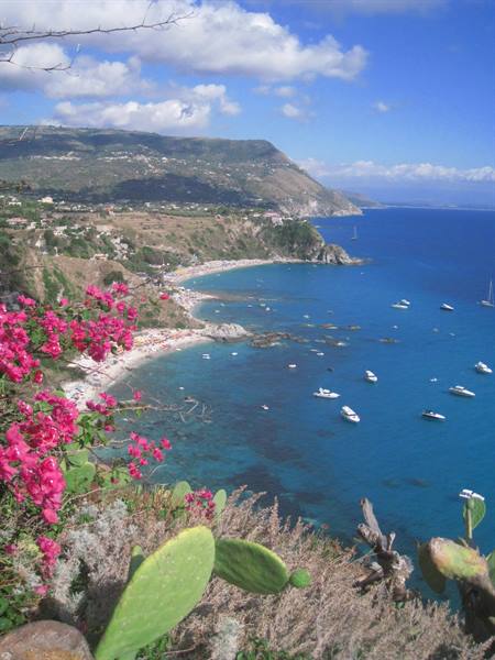 Pink bougainvillea and prickly pears above turquoise bay with boats, Capo Vaticano