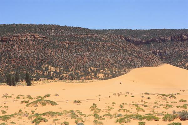 Coral Pink sand dunes state park Utah