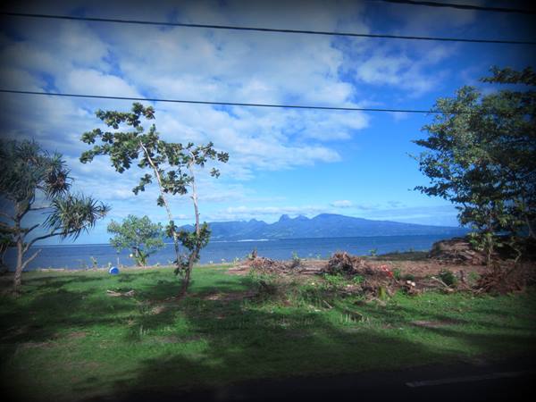 Grassy shore with trees facing the sea, Moorea mountains behind power lines