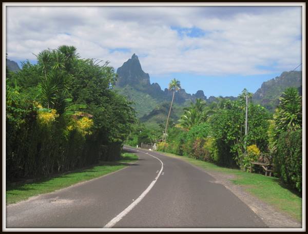 Asphalt road through tropical greenery toward Moorea's volcanic peak