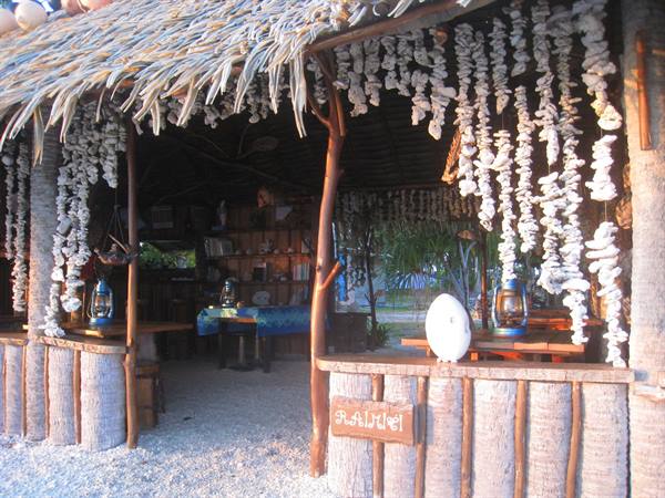 Beach bar with thatched roof and hanging corals as decoration