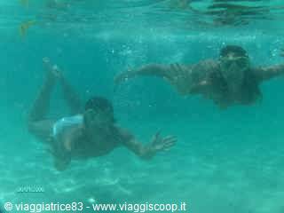 at the bottom of the sea... 
