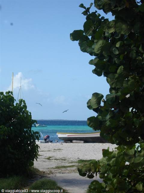 Glimpse of the SEA...