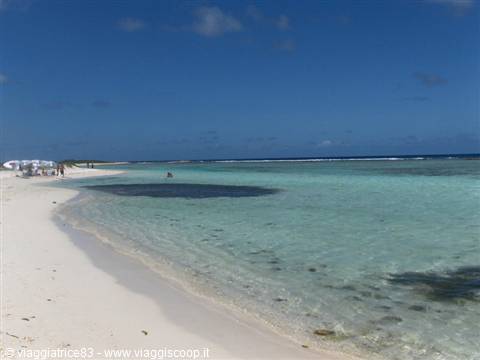 White sand beach with umbrellas, clear turquoise water and swimmers