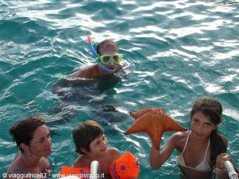 what a sight... the starfish.. with the kids..