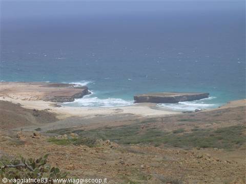 Arid rocky coast with cacti above sandy cove and flat rock, ocean waves