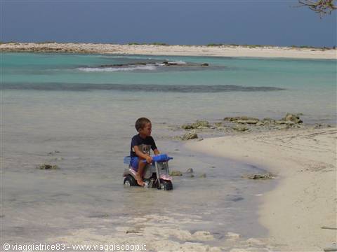 Child on plastic tricycle in shallow turquoise water on white sand beach