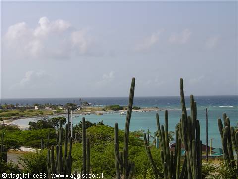 Tall cacti frame turquoise bay with boats and windswept coast