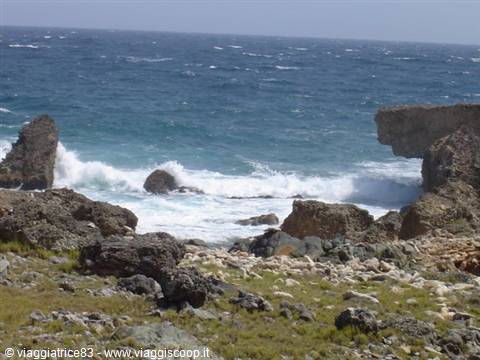 Waves crash on limestone rocks along a windswept grassy coast