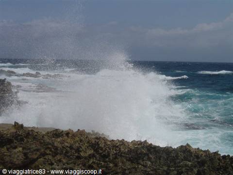the power of the sea