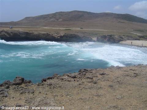 Turquoise waves crash on Aruba's arid rocky coast