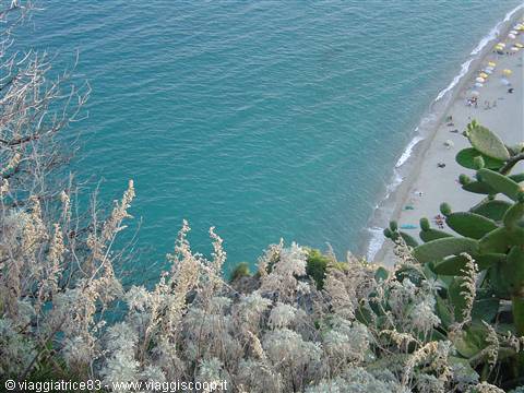 Prickly pear cacti on cliff above sandy beach and turquoise sea