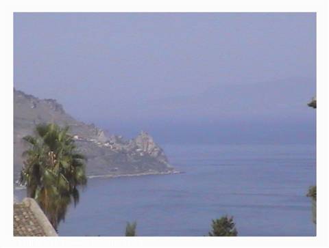 Palm tree overlooking rocky coastline and hazy blue Mediterranean sea
