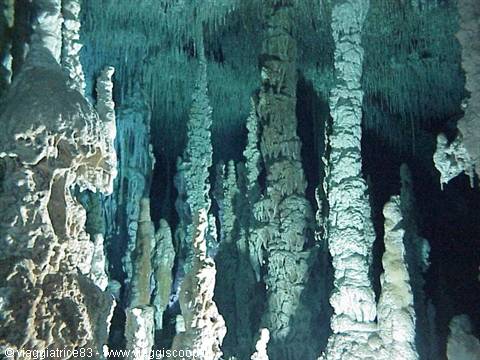 stalactites at Grand Cenote