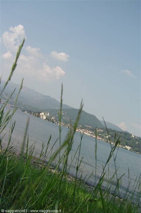 Green grass blades in foreground before the blue lake with village and hills